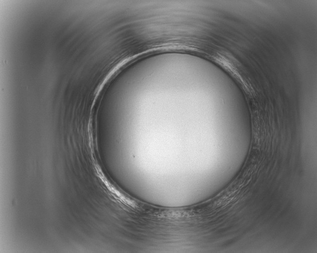 X0000057061092200510010101