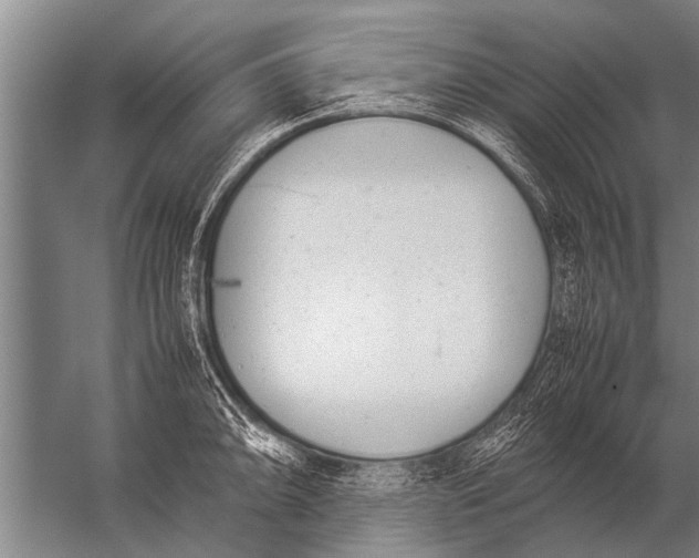 X0000057061094200510010101