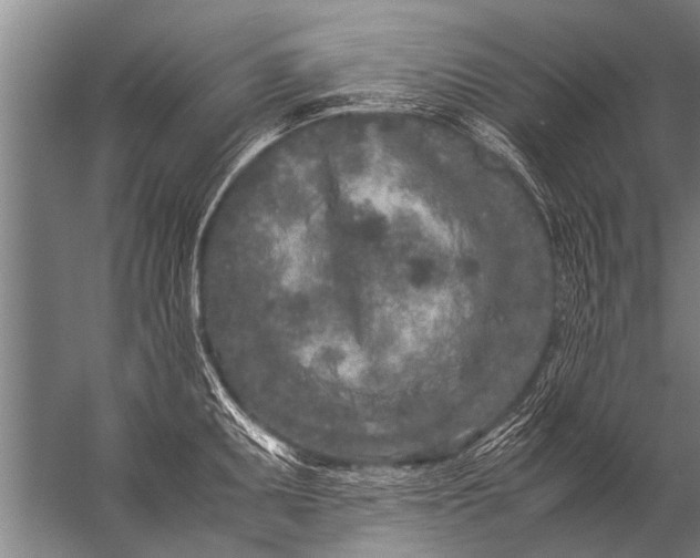 X0000057061095200510010101