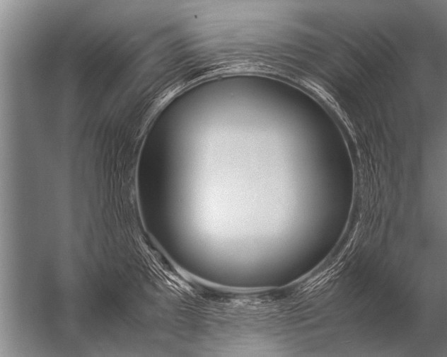 X0000057061097200510010101