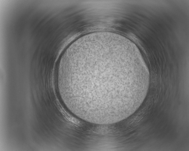 X0000057061098200510010101