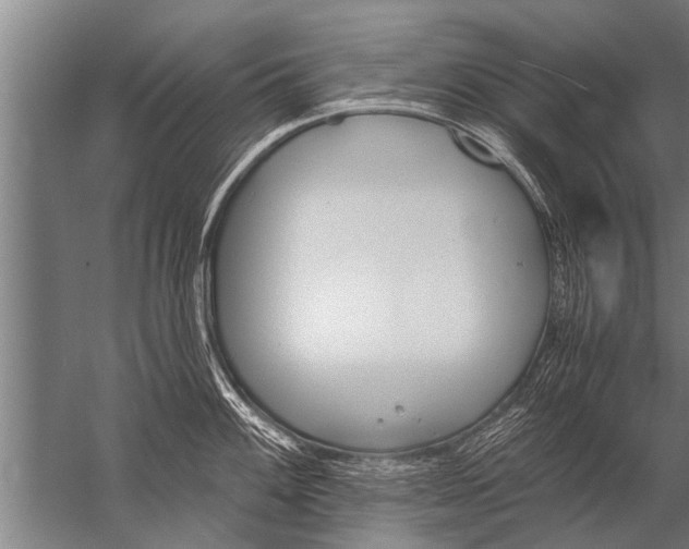 X0000057061100200510010101