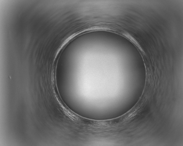 X0000057061101200510010101