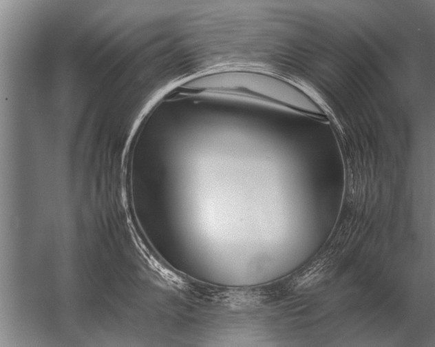 X0000057061102200510010101