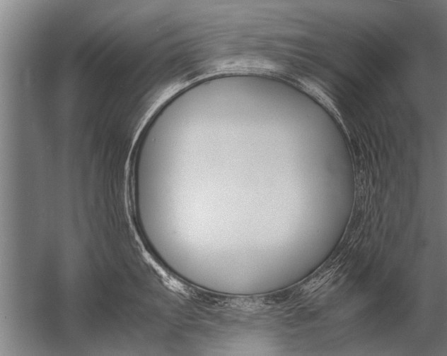 X0000057061103200510010101