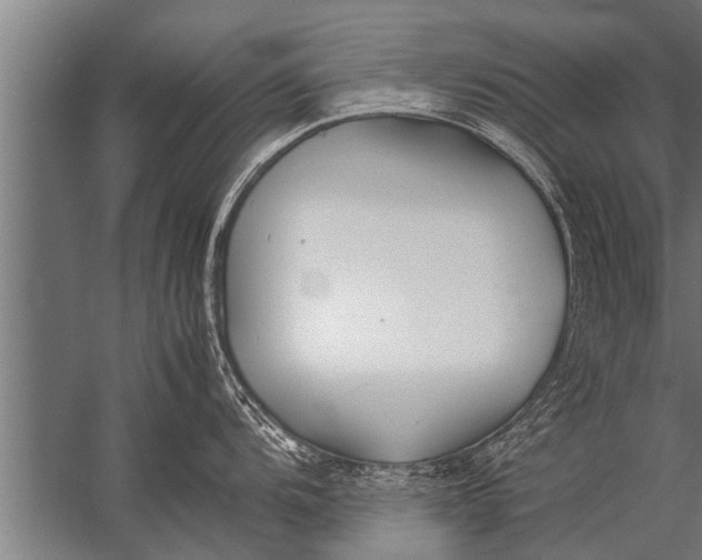 X0000057061104200510010101