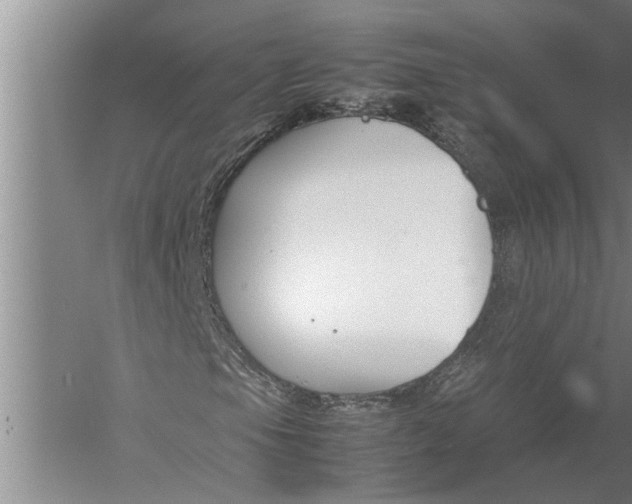 X0000057061105200510010100