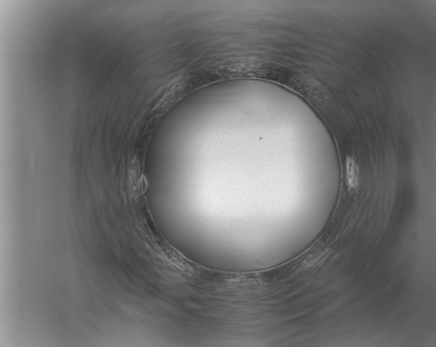 X0000057061107200510010100