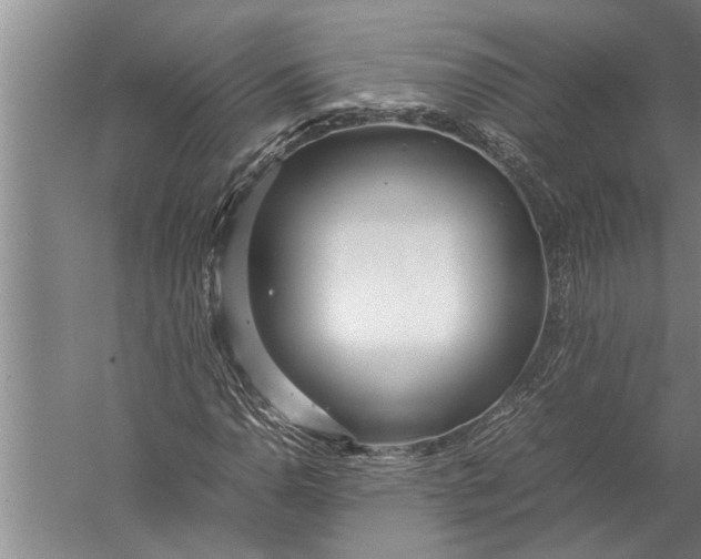 X0000057061110200510010100