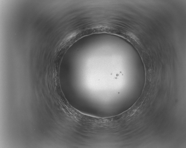 X0000057061111200510010100