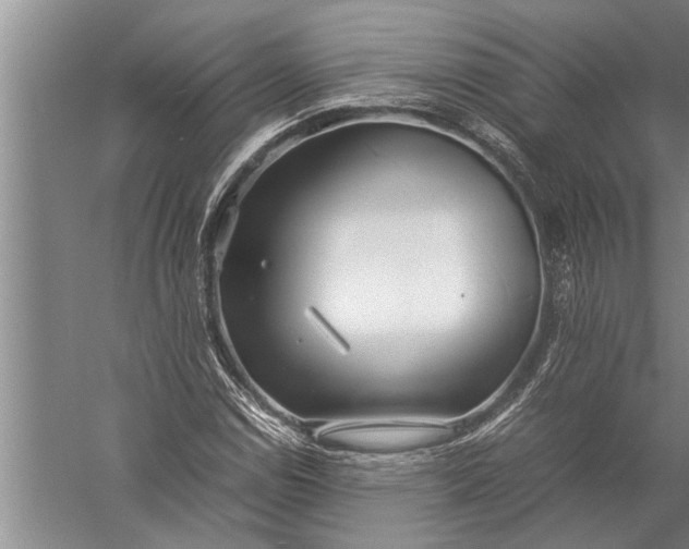 X0000057061114200510010100