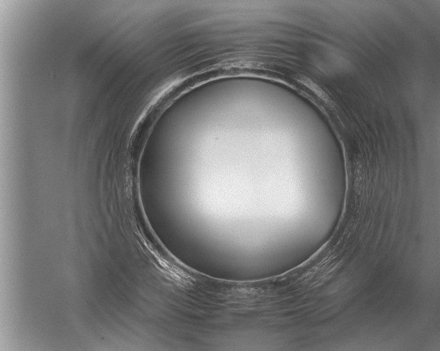 X0000057061115200510010100