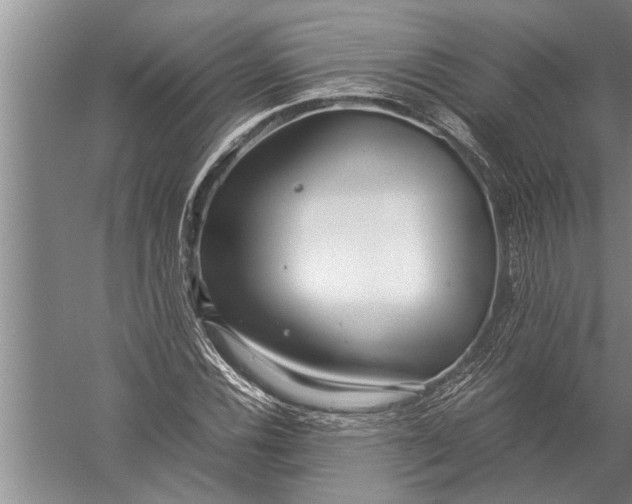 X0000057061116200510010100