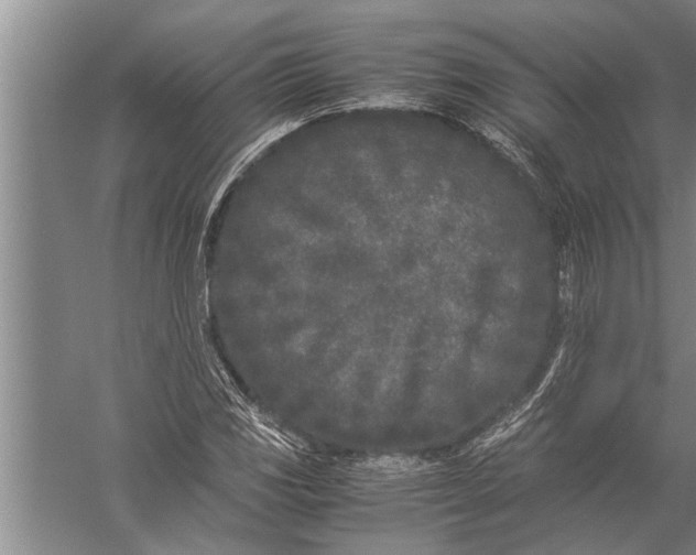 X0000057061117200510010100