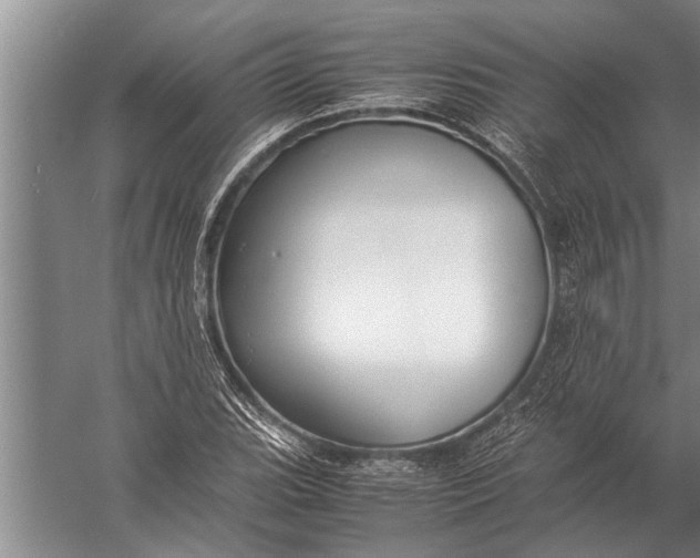 X0000057061119200510010100