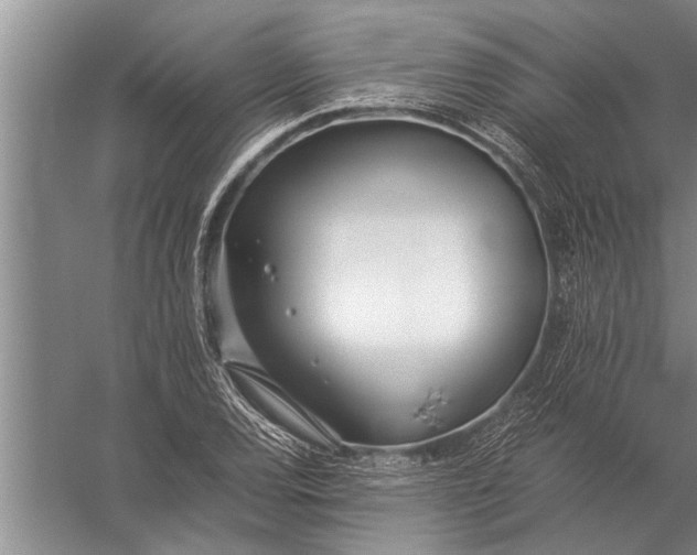 X0000057061120200510010100