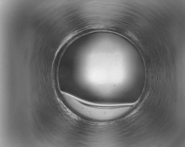 X0000057061122200510010100