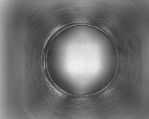 X0000057061123200510010100