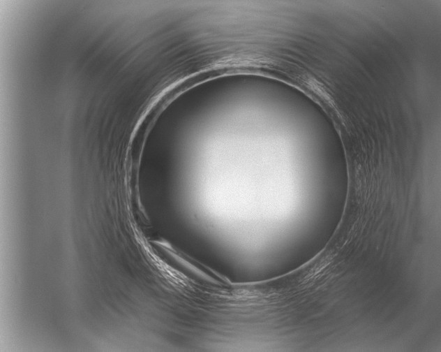 X0000057061124200510010100