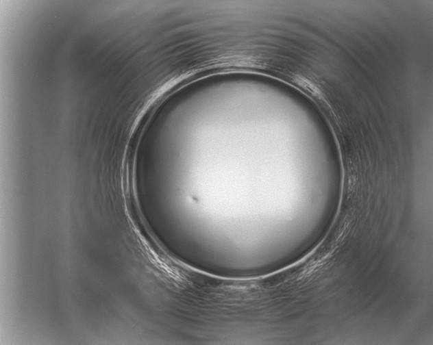 X0000057061125200510010100