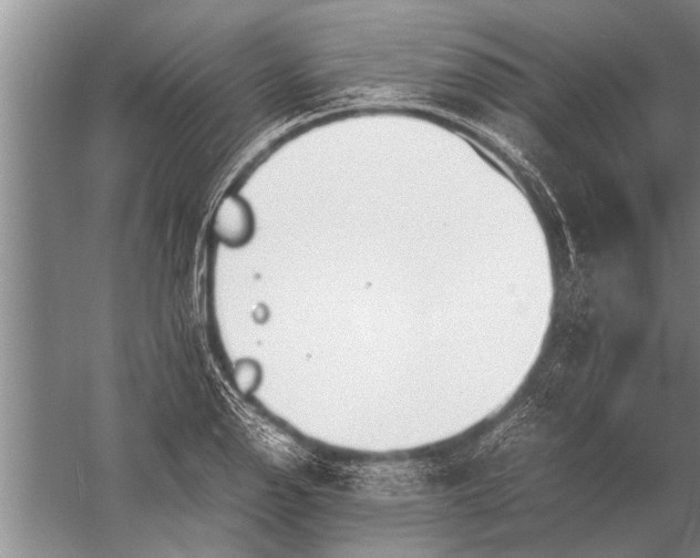 X0000057061126200510010100