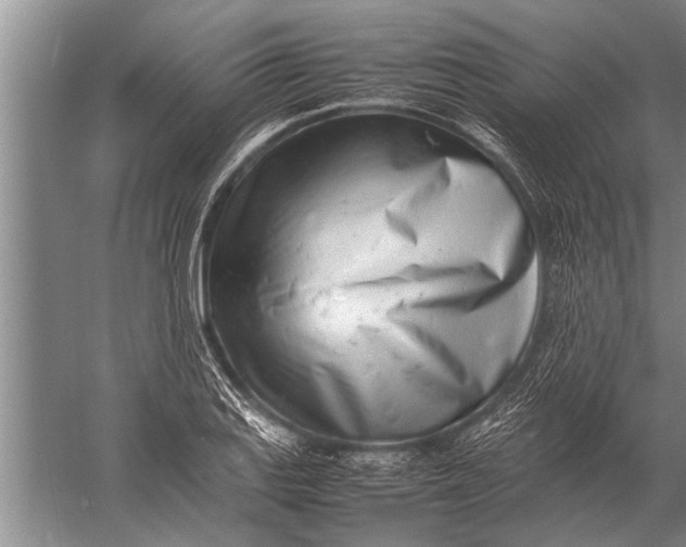 X0000057061127200510010100