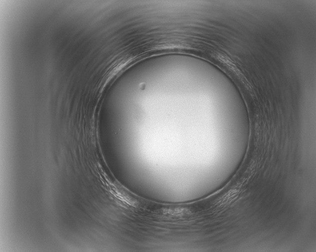 X0000057061129200510010100