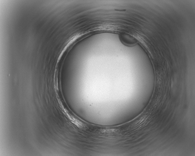 X0000057061131200510010100