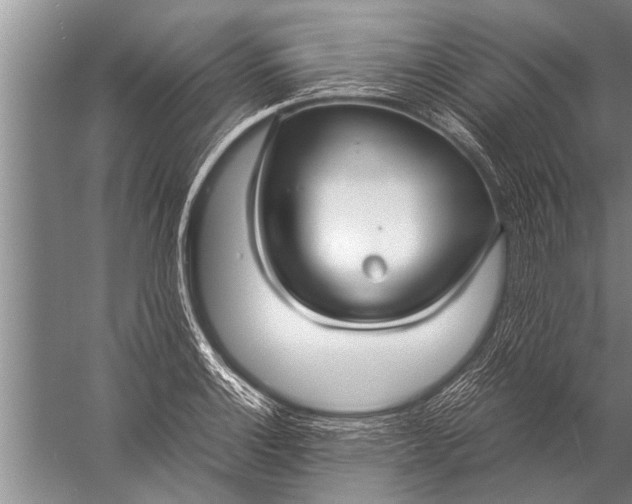 X0000057061132200510010100