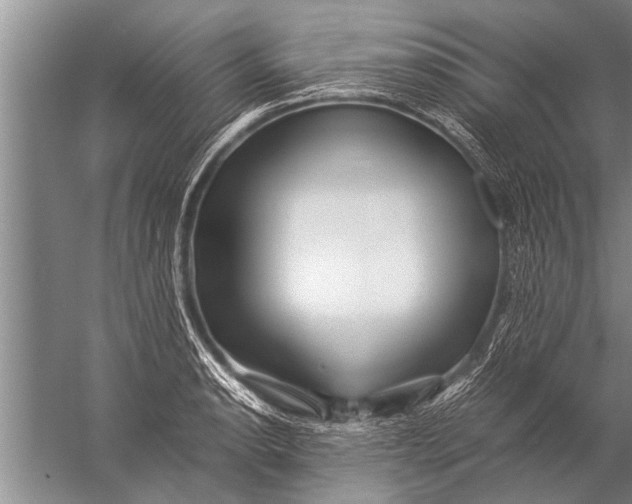 X0000057061134200510010100