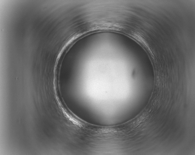 X0000057061136200510010100