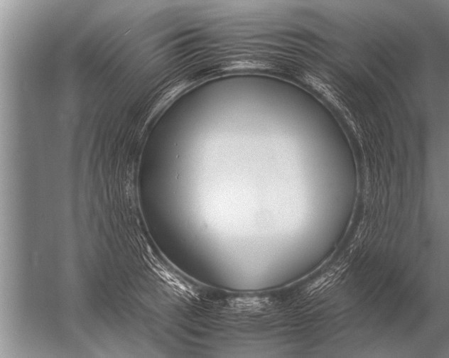 X0000057061137200510010100