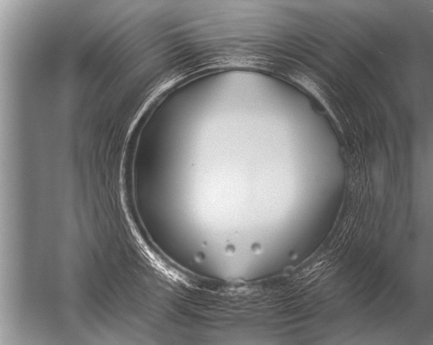 X0000057061139200510010100