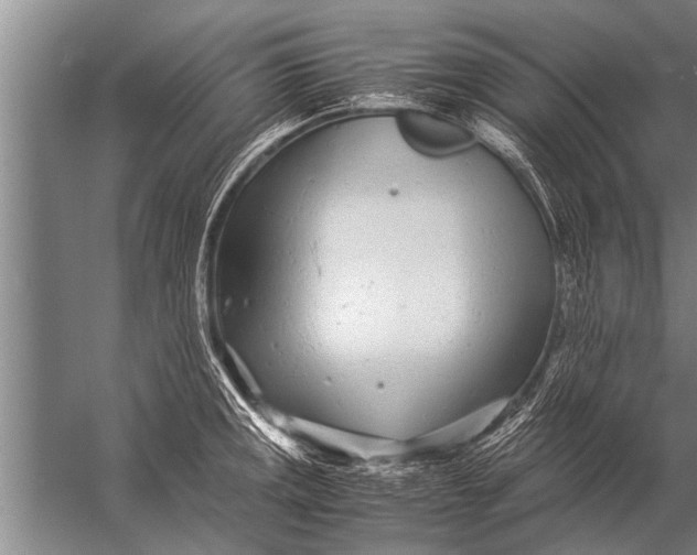 X0000057061141200510010100