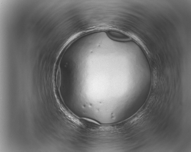 X0000057061142200510010100