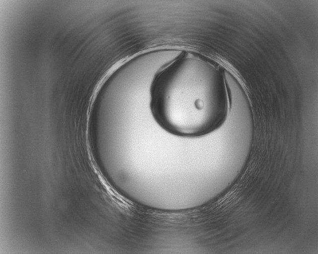 X0000057061144200510010100