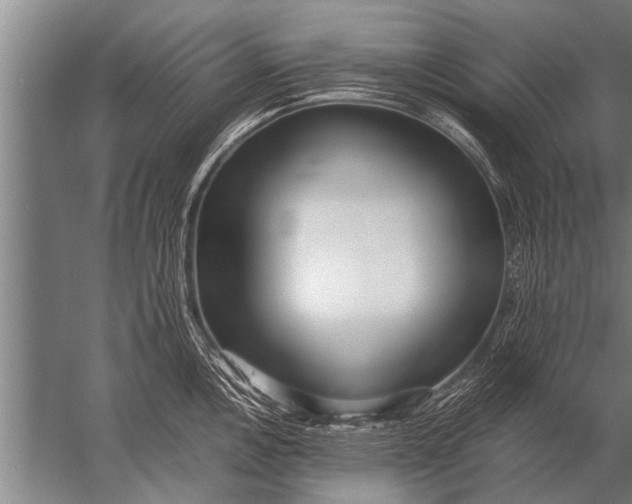 X0000057061146200510010100