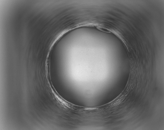 X0000057061151200510010101