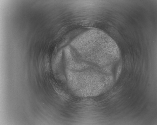 X0000057061154200510010100