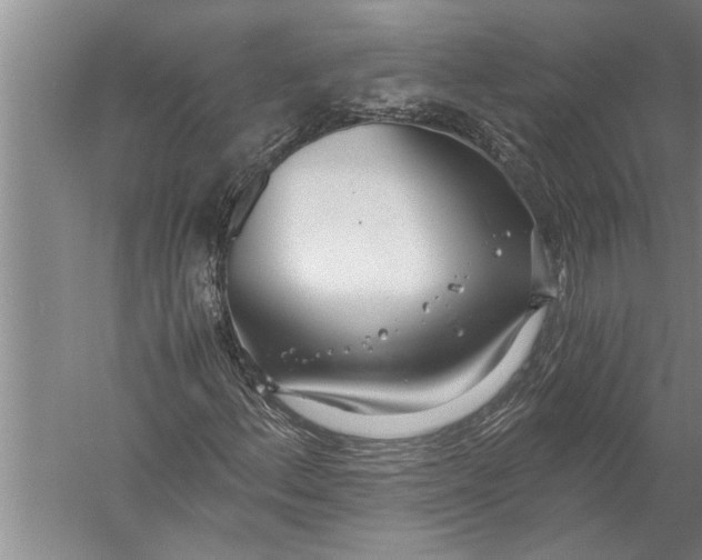 X0000057061156200510010100