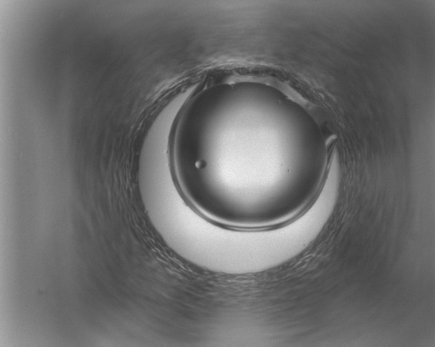 X0000057061157200510010100