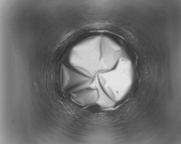 X0000057061158200510010100