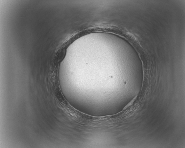 X0000057061159200510010100