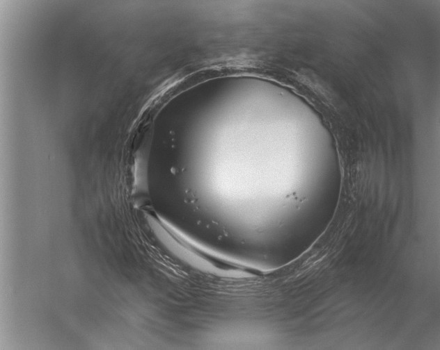 X0000057061160200510010100