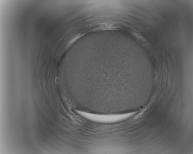 X0000057061161200510010100