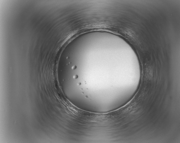 X0000057061162200510010100