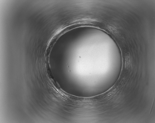 X0000057061164200510010100