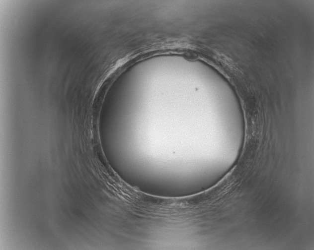 X0000057061165200510010100