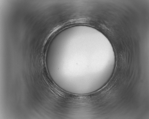 X0000057061166200510010100