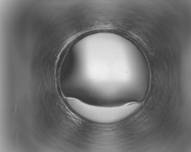 X0000057061168200510010059